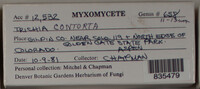 Image Associated With the Occurence